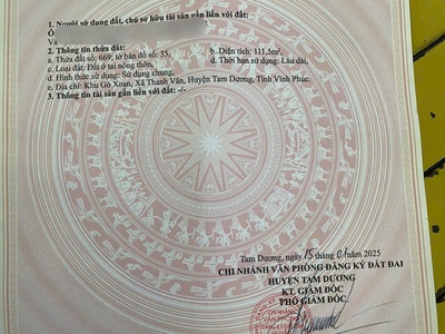 Bán lô góc 2 mặt tiền tại Gò Xoan, Thanh Vân, Tam Dương, Vĩnh Phúc 2