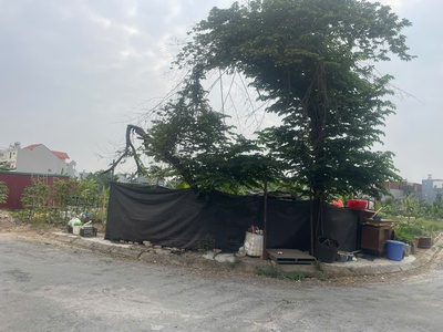 Lô góc siêu hiếm tđc đồng dứa, đằng hải, hải an 1