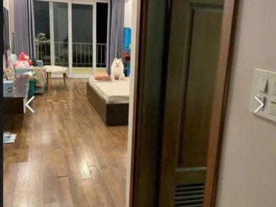 Bántoà ccmn 81 m2 x 7 tầng 10 phòng lớn doanh thu 50 triệu/t vương thừa vũ thanh xuân 2