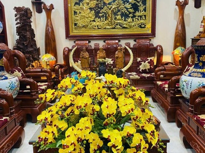 Bán nhà vườn KĐT Tuệ Tĩnh, ph Cẩm Thượng, TP Hải Dương, 108m2, mt 8m, nội thất đẹp 4