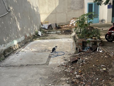 Bán gấp đất 80/11 đường Nguyễn Văn Trỗi, P8, Q.Phú Nhuận. Giá rất rẻ - bao GPXD 1