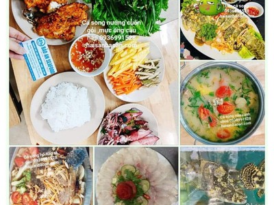 Báo giá cá mú vip ngon tuyển chọn 0