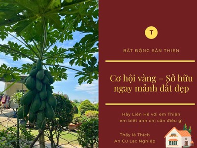 Đất bán 120m2 ngang 6m đường xe hơi bùi văn ngữ hiệp thành quận 12 0