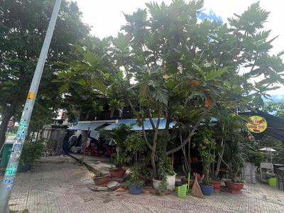 Giá tốt - chính chủ sang quán lô góc 2 mặt tiền tại phường linh xuân, tp thủ đức 4