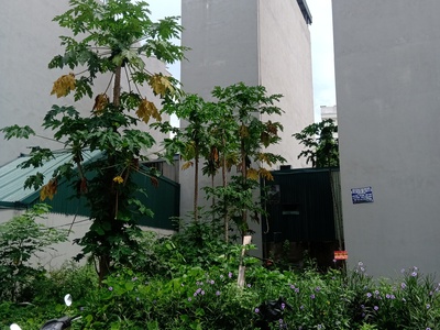 Cho thuê 50m2 đất lô góc giá rẻ tại KĐG Ngõ Cổng, Đa Sỹ, Kiến Hưng, HĐ 15