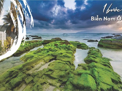 Nam Ô Discovery - Căn Hộ Mặt Biển Đẳng Cấp, Sở Hữu Lâu Dài Chỉ Từ 65 Triệu/m 1
