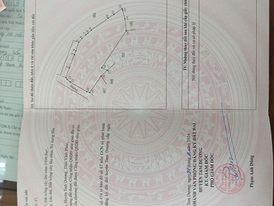 Cơ hội đầu tư - bán lô đất đẹp tại đồng tĩnh, tam dương, vĩnh phúc  diện tích: 2.383m   diện tích 4