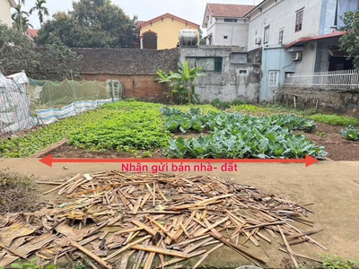 Bán đất thổ cư tiềm năng tại thôn 1, thạch đà, mê linh, hà nội - vị trí vàng, giá đầu tư hấp dẫn 0