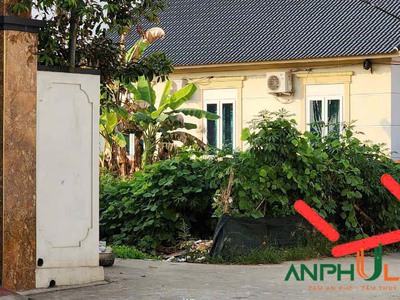 Chính chủ cần tiền bán lô đất đẹp TDP Bái Trong, phường Hoa Động, TP Thủy Nguyên 1