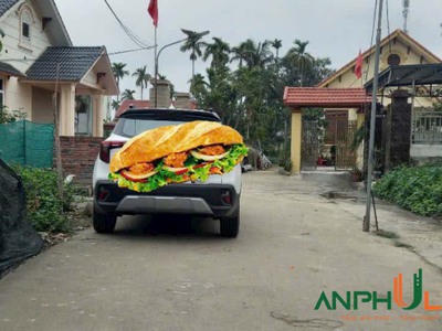 Chính chủ cần tiền bán lô đất đẹp TDP Bái Trong, phường Hoa Động, TP Thủy Nguyên 2