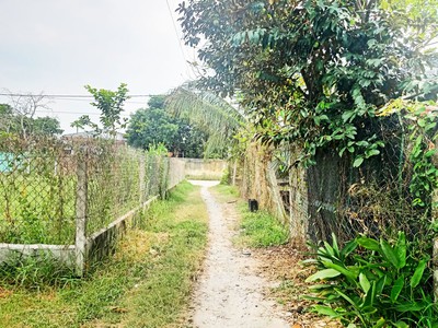 Bán đất 1/ đường 531 - 1279m2 - 30x43 - 90m2 thổ cư - xã nhuận đức - củ chi 2