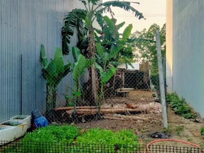 Lô đất đẹp - dt 100m2, đường 5m5 hòa phú 11, hòa minh, liên chiểu - chỉ 3.  tỷ 0