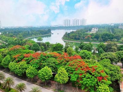 Chính chủ bán liền kề khu đô thị thanh hà, phú lương, hà đông  a2.4 lk 10-9 nhìn trường học dt 1