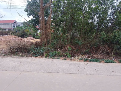 Cần bán 2 lô đất vàng đẹp ngã tư tiên nha-lục nam 4