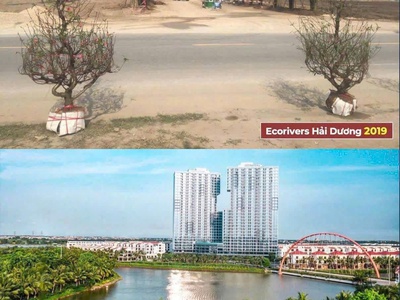 Mở bán eco retreat nhà phố sinh thái nghỉ dưỡng đầu tiên của eco tại long an 2