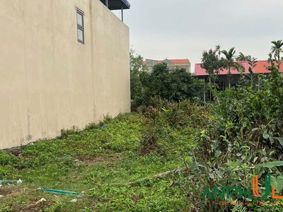Cần bán lô đất giá ưu đãi tại Phường Phạm Ngũ Lão, TP Thủy Nguyên, Hải Phòng 2