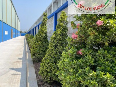 Bán hoặc cho thuê nhà xưởng 3.500m2 trong KCN Tân Phú Trung, Củ Chi, HCM 0