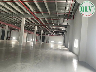 Cho thuê nhà xưởng 11.000 m2 trong KCN Đại Đăng, Thủ Dầu Một, Bình Dương 1