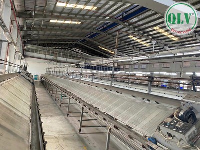 Bán hoặc cho thuê nhà xưởng 10.627 m2 trong KCN Vsip 2, Vĩnh Tân, Bình Dương 4