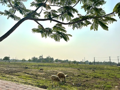  Bán Đất Nền Riveria Hội An  Sở Hữu Sổ Đỏ, An Cư Lý Tưởng, Giá Chỉ Từ 2 Tỷ 6