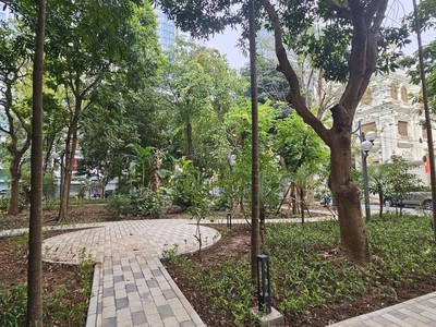 Bán biệt thự vườn đào 325m-5t-170ty-phú thượng-tây hồ 1