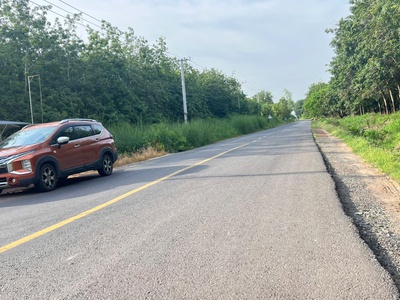 Nguồn thơm Dầu Tiếng- đường nhựa cách chợ 400m 0