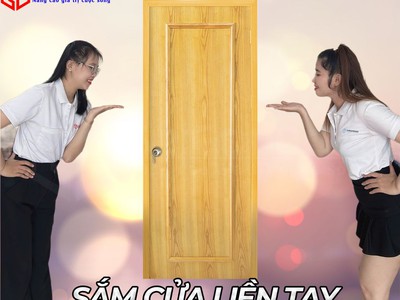 Cửa gỗ công nghiệp sang trọng 1