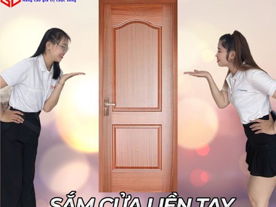 Cửa gỗ công nghiệp sang trọng 2