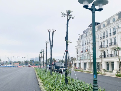  nóng: liền kề shophouse louis city iii đại mỗ, mặt chính lê quang đạo, 5 tầng xây thô, 120m, 2 3