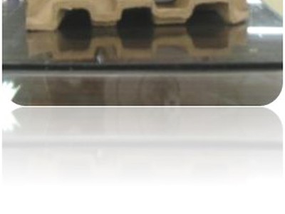 Khay giấy ép định hình. 1