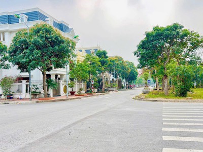 Bán đất biệt thự mặt phố Nguyễn Khoái, ph Tân Bình, TP Hải Dương, 161m2, mt 11.5m, vị trí đẹp 0
