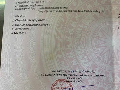 Bán lô đất đẹp mặt đường Thành Tô, Tràng Cát 90m2 giá 32tr/m2 3