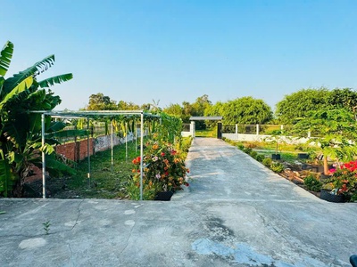 Nhà vườn tổng dt 1400m2 đất lúa xã Phước Lâm, huyện Cần Giuộc 2pn 1wc giá 5,5 tỷ 8