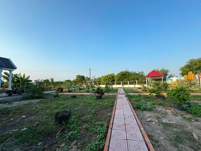 Nhà vườn tổng dt 1400m2 đất lúa xã Phước Lâm, huyện Cần Giuộc 2pn 1wc giá 5,5 tỷ 9