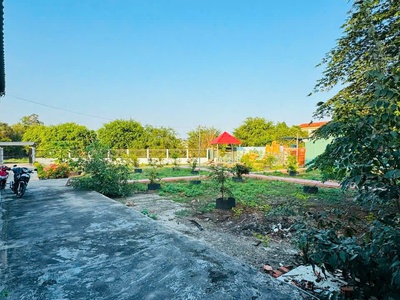 Nhà vườn tổng dt 1400m2 đất lúa xã Phước Lâm, huyện Cần Giuộc 2pn 1wc giá 5,5 tỷ 15