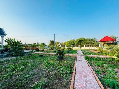 Nhà vườn tổng dt 1400m2 đất lúa xã Phước Lâm, huyện Cần Giuộc 2pn 1wc giá 5,5 tỷ 16