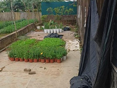 780 triệu Hải Bối Đông Anh 2