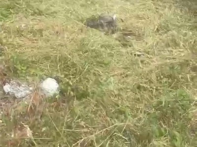 Bán đất thổ cư 107m2 giá hời - hoàng phan thái - bình chánh - tp.hcm - 3.3 tỷ - sổ hồng 2