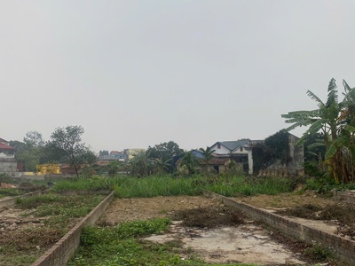 Bán đất thanh trí, minh phú, sóc sơn, hà nội. 97m2, 2 mặt tiền. giá 24,5 tr/m 2