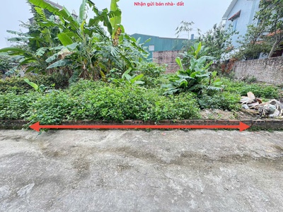 Cơ hội đầu tư vàng đất thổ cư thôn bến trung, bắc hồng, đông anh, hn - tiềm năng sinh lời cao. 2