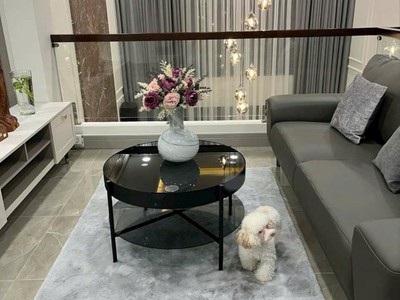 Vip quận 5- duy nhất chỉ 1 căn village đẹp tuyệt vào ở liền, ngang 8m  chỉ 18 tỷ còn tl 4