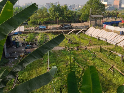 Nhà cho thuê ở khu vực đẹp, tiềm năng. 7