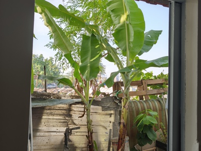 Nhà cho thuê ở khu vực đẹp, tiềm năng. 6