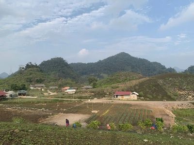 Chính chủ cần sang nhượng mảnh đất hơn 2 héc ta tại tà số mộc châu, giá chưa đến 600 ngàn/1m2. 1