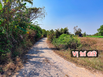 Lô góc 8 23m, thổ cư, gần hồ dầu tiếng, dương minh châu, sổ sẵn chỉ 389tr rẻ đẹp nhất dương minh 3