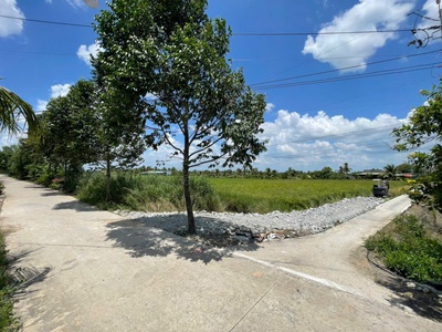 2039m2 đất lúa có 800m2 thổ đất 2 mặt tiền đường beton xã Lương Hòa, huyện Bến Lức giá 6,7 tỷ 1
