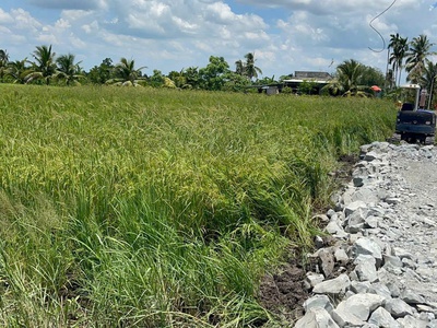 2039m2 đất lúa có 800m2 thổ đất 2 mặt tiền đường beton xã Lương Hòa, huyện Bến Lức giá 6,7 tỷ 2