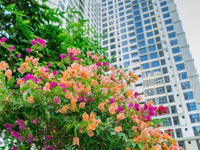 Bán căn hộ chung cư tại lumiere boulevard, 4,4 tỷ, 73 m2, 2pn, 2wc, giá siêu hời 4