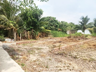 Bán đất 1/ đường trần thị hồ - 96m2 - 5.5x21 - 96m2 thổ cư - xã hòa phú - củ chi 1