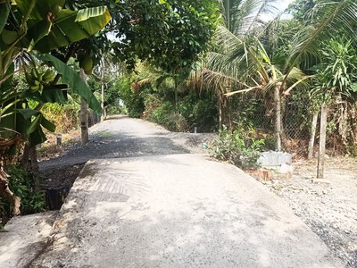 Bán đất 1/ đường trần thị hồ - 96m2 - 5.5x21 - 96m2 thổ cư - xã hòa phú - củ chi 3